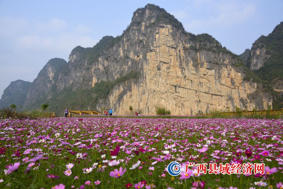 花山河新风貌，自然与人文的和谐交融之地